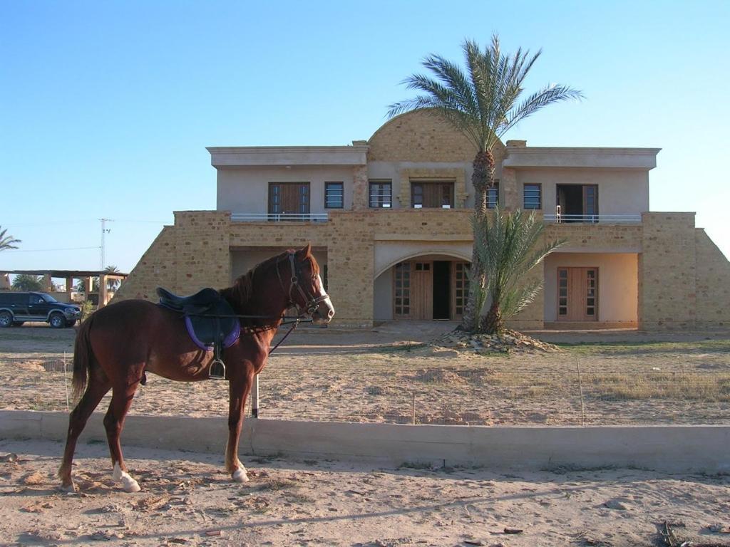 Bella Djerba Hotell Houmt Souk  Exteriör bild